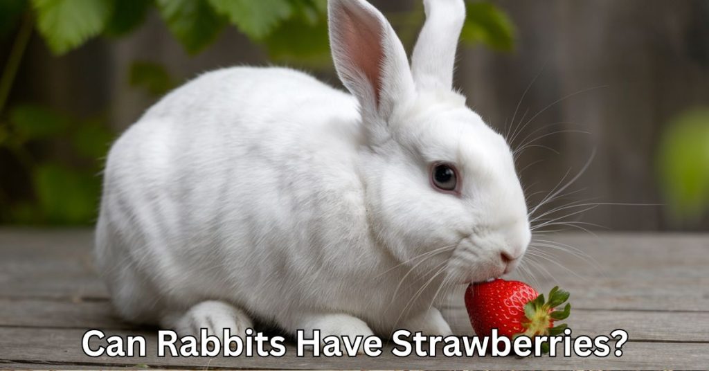 Can Rabbits Have Strawberries?